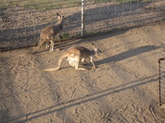 IMG_8645 IMG_8645