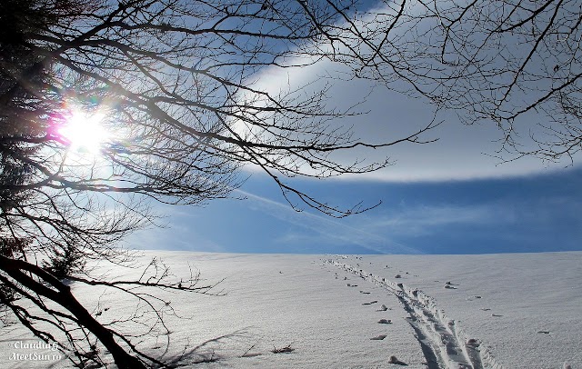 iesim la lumina Baiului-schi-de-tura-1177.jpg