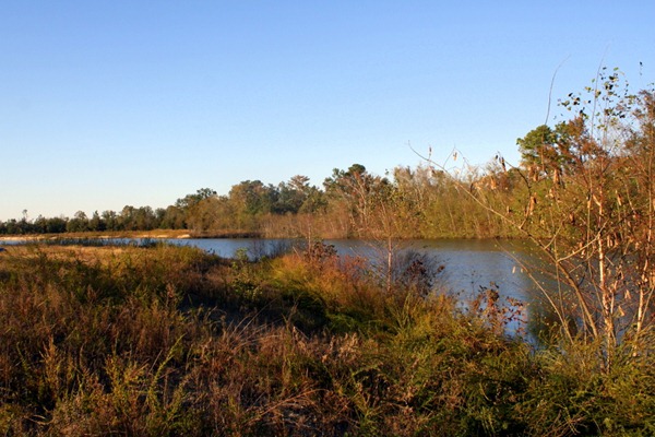 Pumpkin Spice Lattes, Friends, and Walking Trails 086