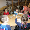SAM_0454.JPG