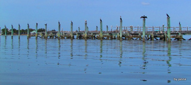 [IMG_1931%255B2%255D.jpg]