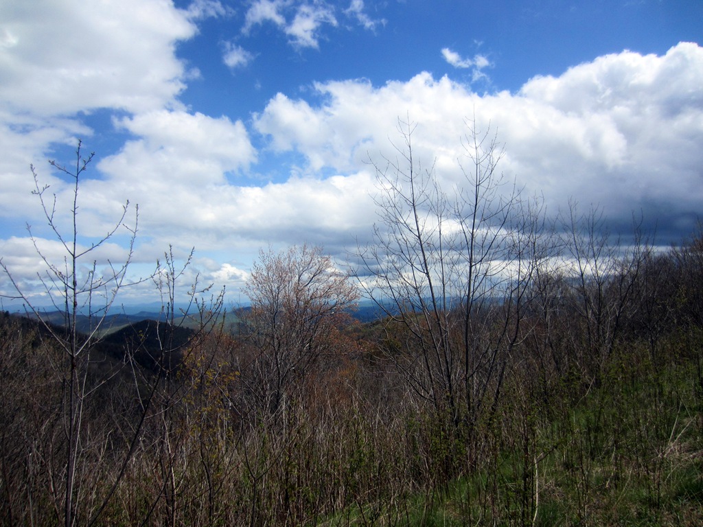 [IMG_0696%255B3%255D.jpg]