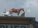 The Horse 
