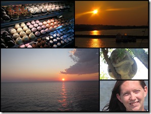 August 2011 Blog review2