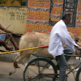 DSCN1228.JPG