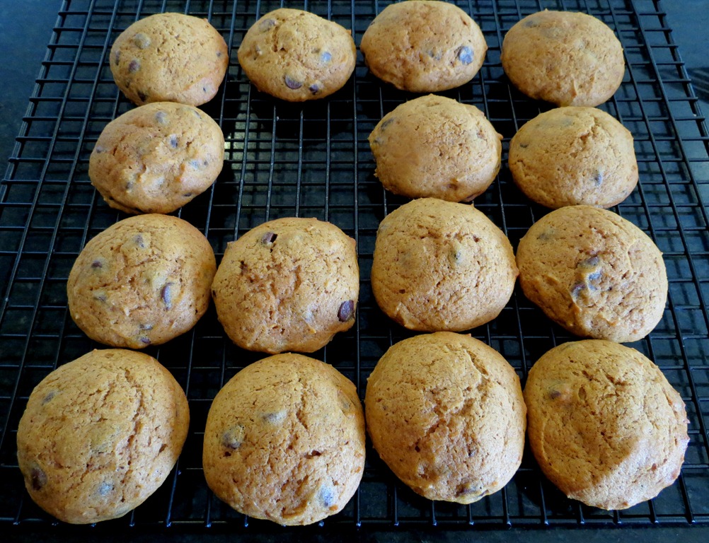 [Pumpkin%2520Chocolate%2520Chip%2520Cookies%25203%255B8%255D.jpg]