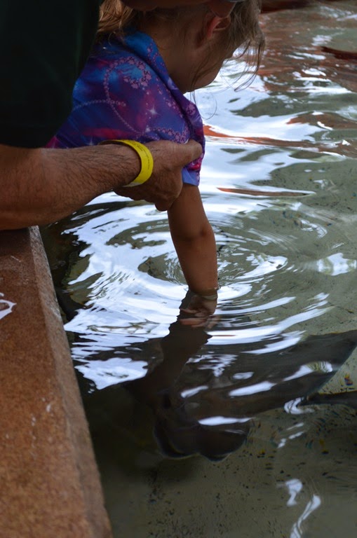 [DSC_9012%255B3%255D.jpg]