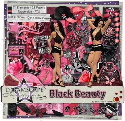 Schnegge_Prev_BlackBeautyDSI