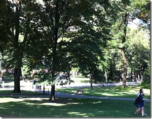 IMG_1993 IMG_1993