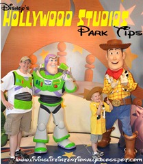 [hollywood%2520studios%255B14%255D.jpg]