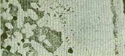 [clip_image0033.jpg]