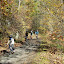 DSCF9353.JPG