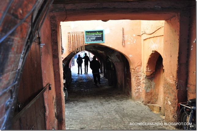 Rincones de Marrakech. Zona sur-DSC_0030