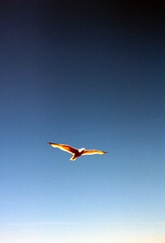 IMG_8339