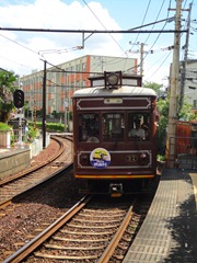 DSC00449 DSC00449