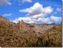 Tucson Sabino Canyon 032 Tucson Sabino Canyon 032
