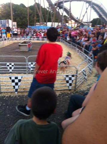[Pig%2520Races%25202012%255B2%255D%255B7%255D.jpg]