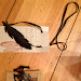 Bike Tube Jewelery