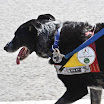 BU_Alpini044.jpg