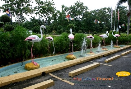 langkawi bird paradise langkawi bird paradise