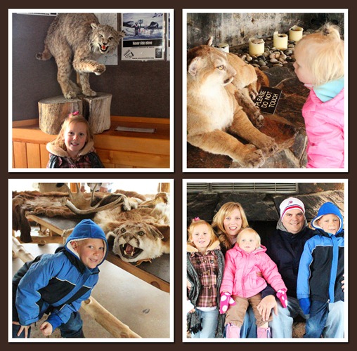 [a%2520collage%255B4%255D.jpg]