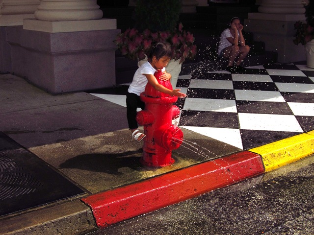 [IMG_1619%255B2%255D.jpg]