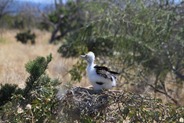 IMG_9597 IMG_9597