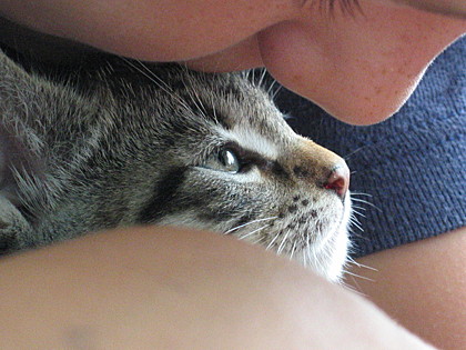 ... whiskers on kittens...

Bridget -  Los Angeles, CA