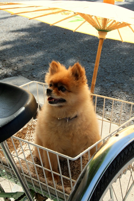 [IMG_0496%255B5%255D.jpg]