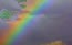 [rainbow2---65x413.jpg]