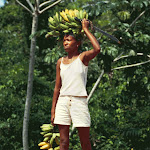Girl with Bananas-Brazil 2001.jpg