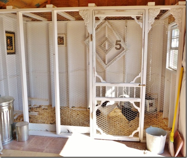 yard and coop 029 (640x507)