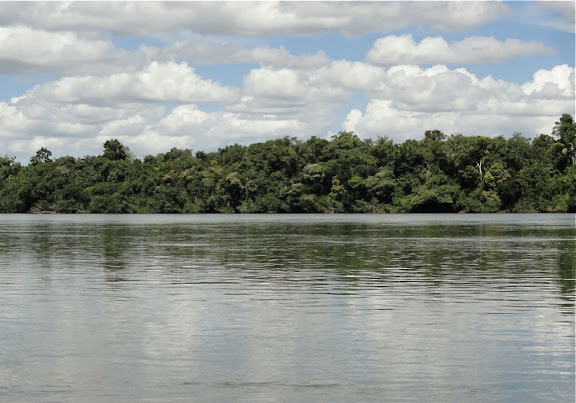 Le Rio Teles Pires, município de Nova Canaã do Norte (Mato Grosso, Brésil), 11 juin 2011. Photo : Cidinha Rissi