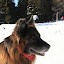 IMG_1459.JPG