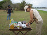 Brunch Selous