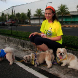 Pet Express Doggie Run 2012 Philippines. Jpg (103).JPG
