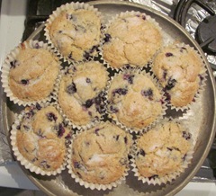 blueberry cake in muffin liners cooked