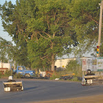 DSC_1845.JPG
