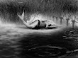 Black And White Undine