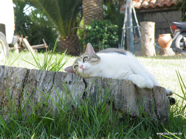 Kreta-07-2011-088.JPG