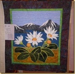 Mountain Daisies Angela