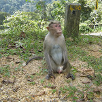 IMG_5336.JPG