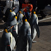 hokkaido_317.jpg