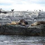 12 - Navegacion Ushuaia Velero