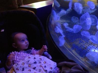 baby and jellies