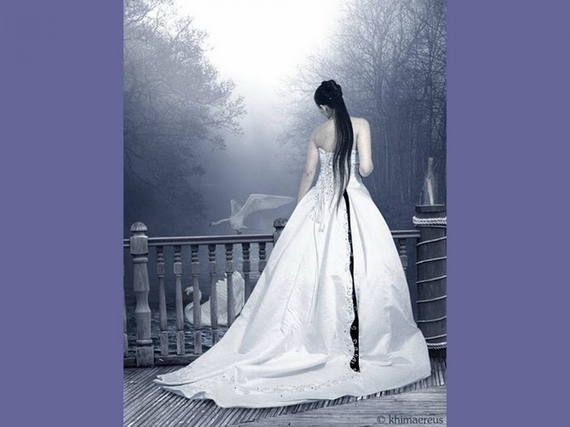 Bride Of Swans, Magic Beauties 3