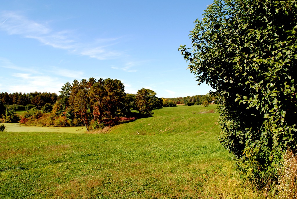 [DSC_1673%255B4%255D.jpg]