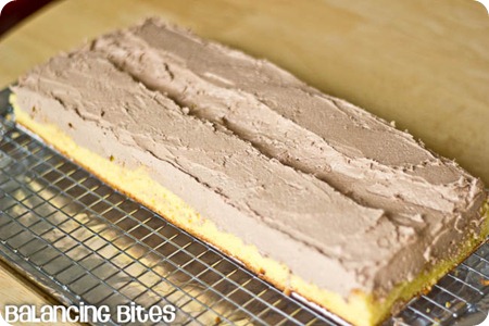 Chocolate Buttercream Frosted Vanilla Cake