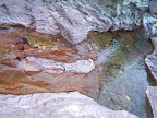 glacier_national_park_-_2007