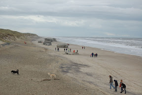 DSC_0135.JPG